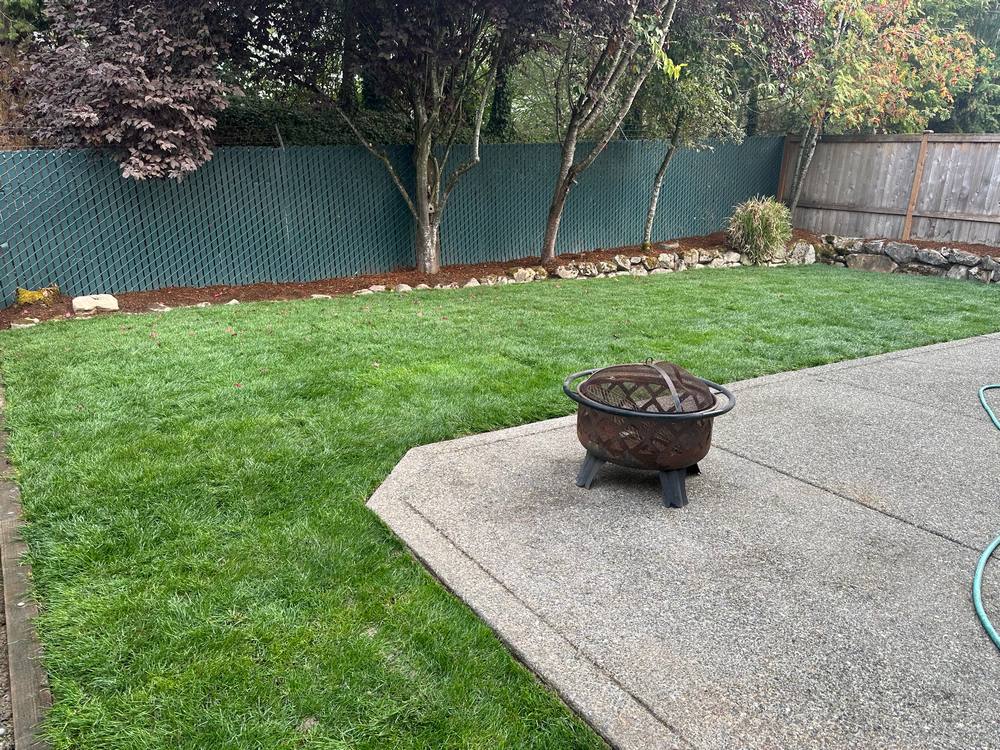 Sod-Installation-Renton-WA