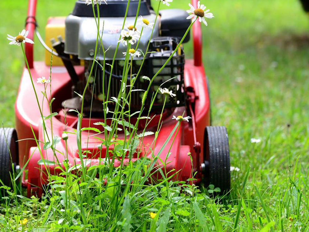 Lawn-Care-Services-Renton-WA