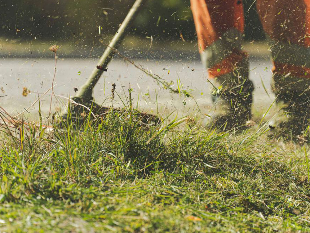 Yard-Cleaning-Service-Renton-WA