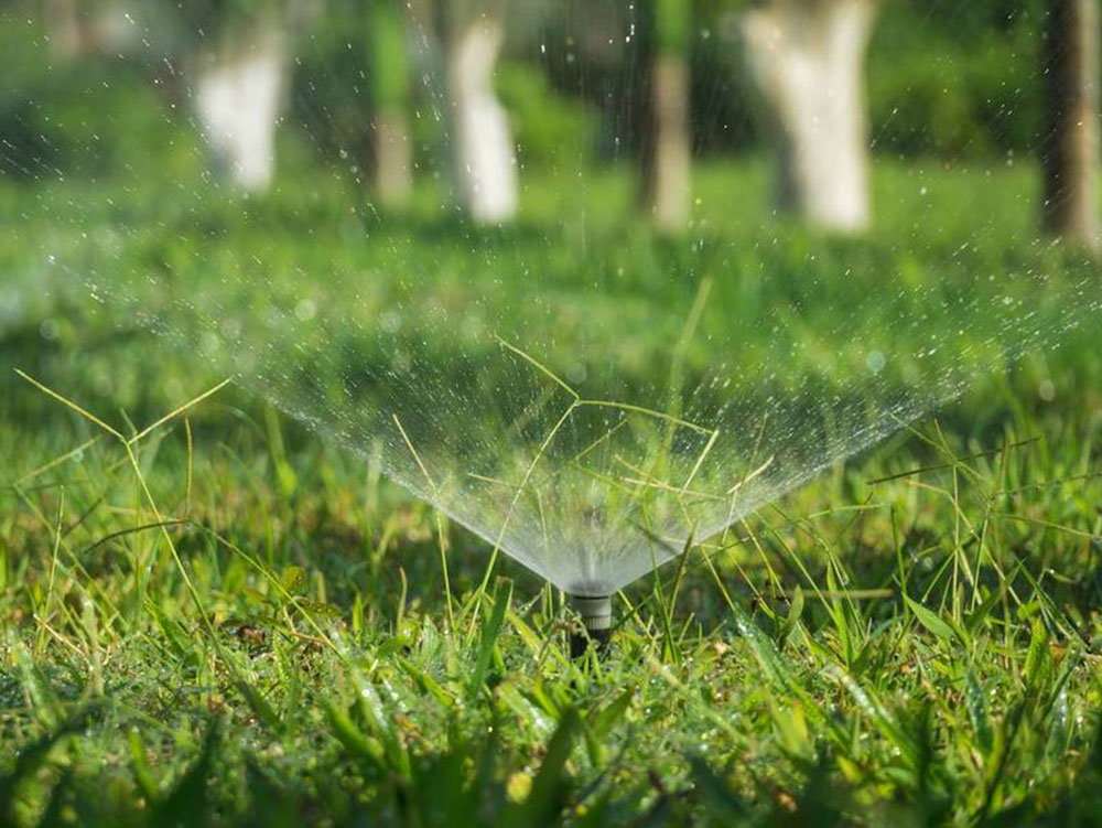 Lawn-Sprinkler-System-Renton-WA